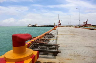 政府高效服务促成烽火海洋配套码头以最快速度临时开放 确保产品准时发运